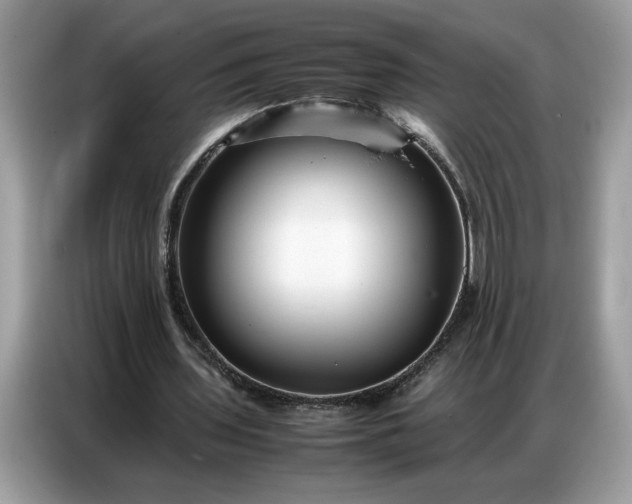 X0000086740435200704271653