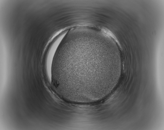 X0000086740436200704271653