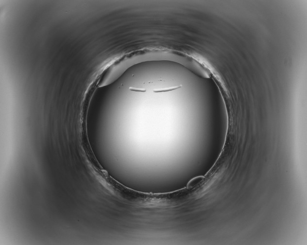 X0000086740437200704271653