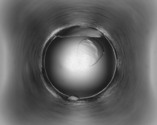 X0000086740438200704271653