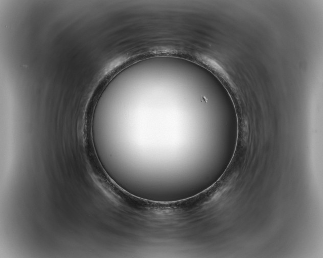 X0000086740439200704271653