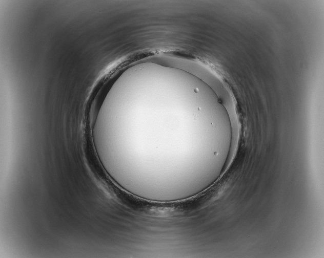 X0000086740440200704271653