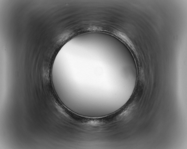 X0000086740441200704271653