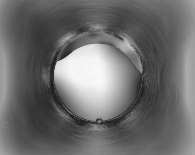 X0000086740442200704271653