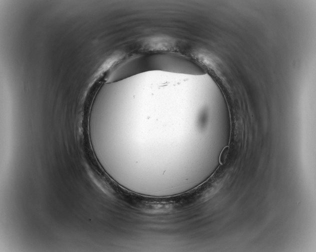 X0000086740443200704271653