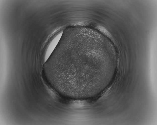 X0000086740444200704271653