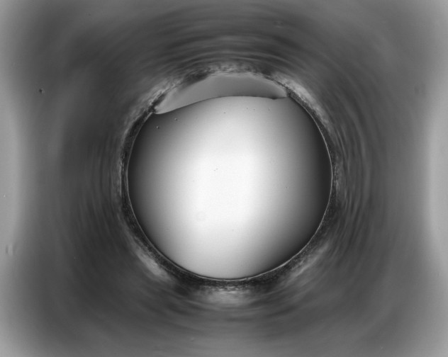 X0000086740445200704271653