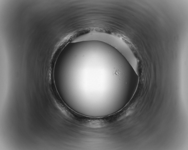 X0000086740446200704271653