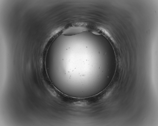 X0000086740447200704271653