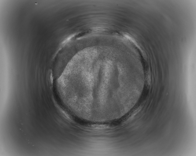 X0000086740448200704271653