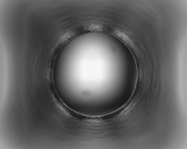 X0000086740449200704271654