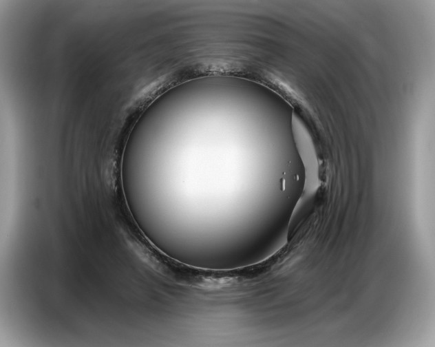 X0000086740450200704271654