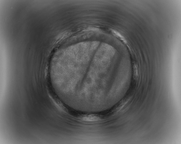 X0000086740451200704271654