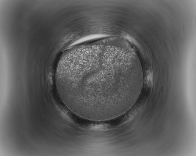 X0000086740452200704271654