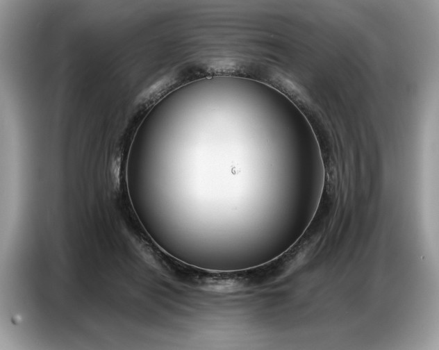 X0000086740454200704271654