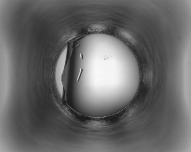 X0000086740455200704271654