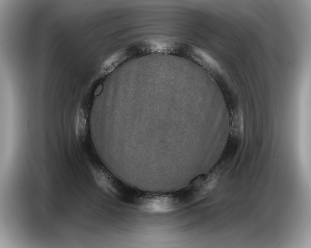 X0000086740456200704271654