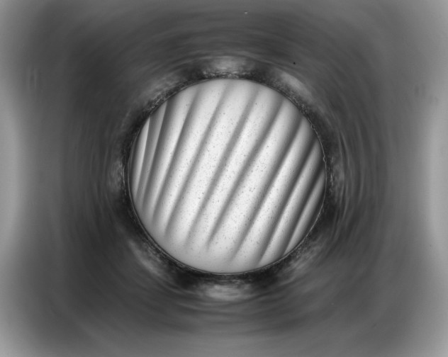 X0000086740459200704271654