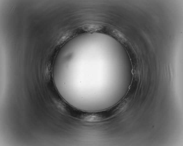 X0000086740460200704271654