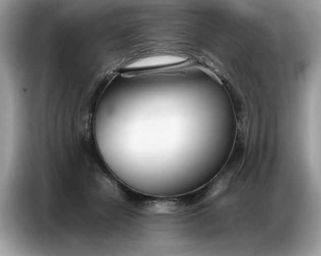 X0000086740462200704271654