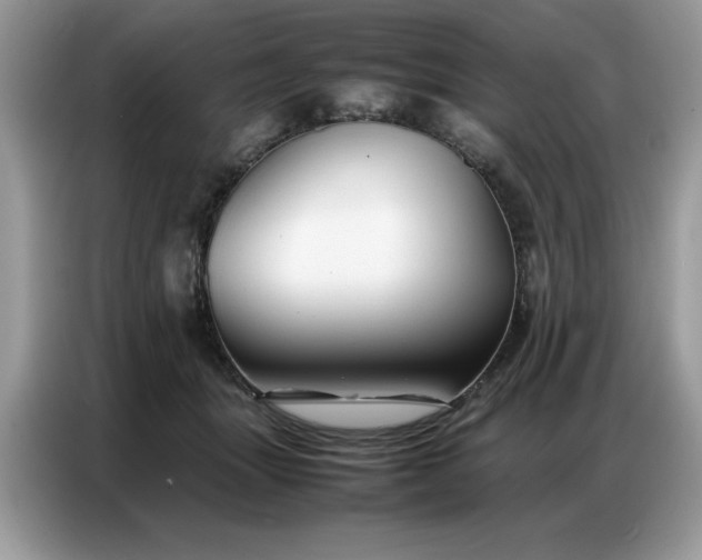 X0000086740463200704271654