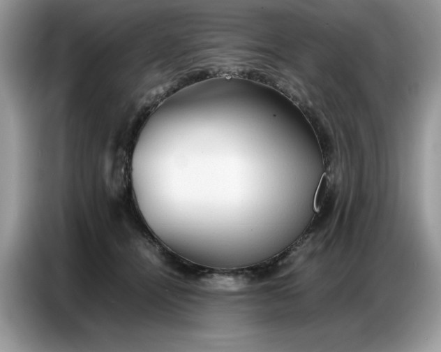 X0000086740464200704271654