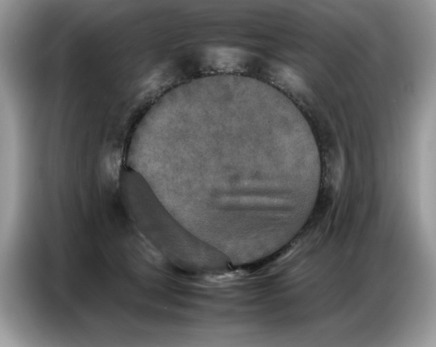 X0000086740465200704271654