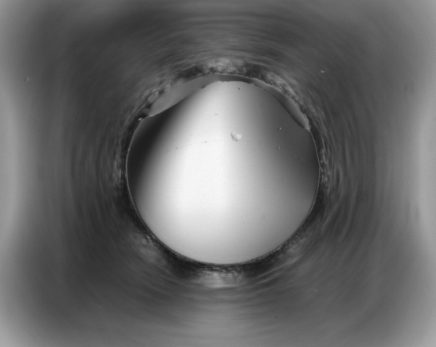 X0000086740466200704271654