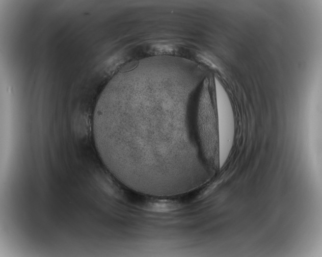 X0000086740467200704271654