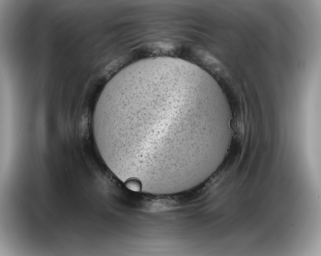 X0000086740468200704271654