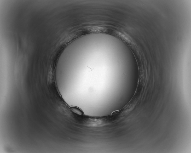 X0000086740469200704271654