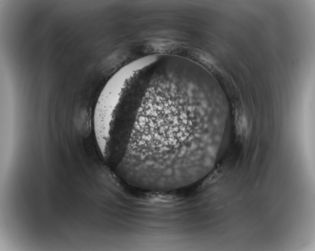 X0000086740471200704271654