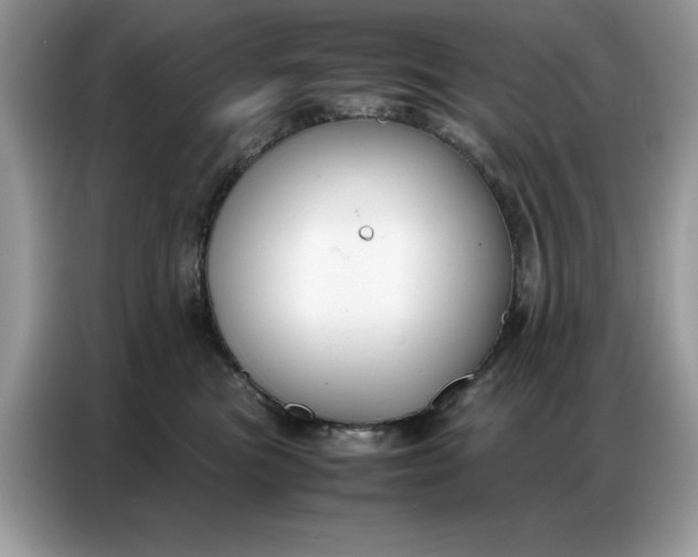 X0000086740473200704271654