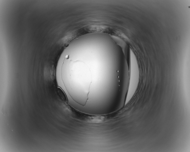 X0000086740474200704271654