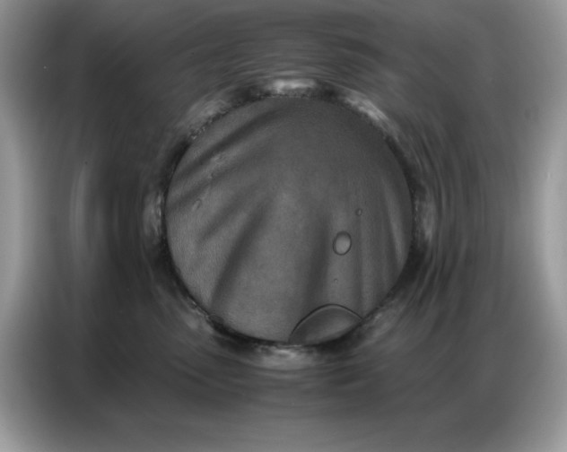 X0000086740475200704271654