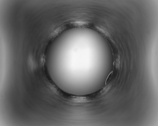 X0000086740476200704271654