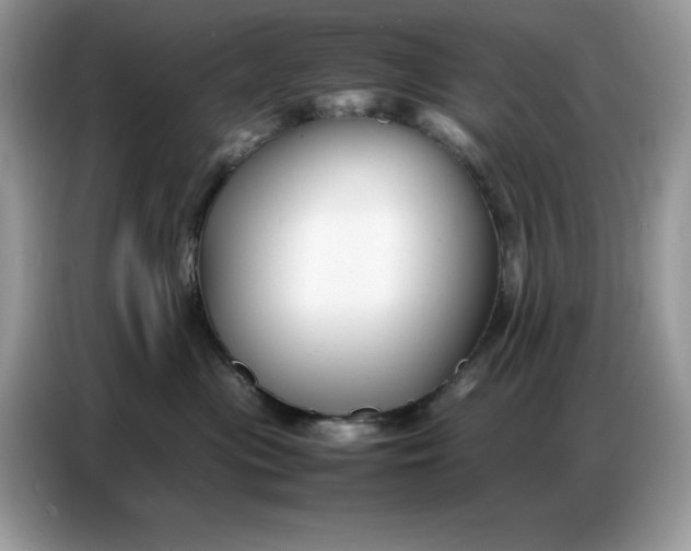 X0000086740477200704271654