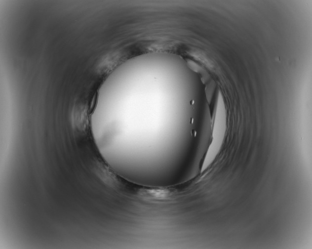 X0000086740478200704271654