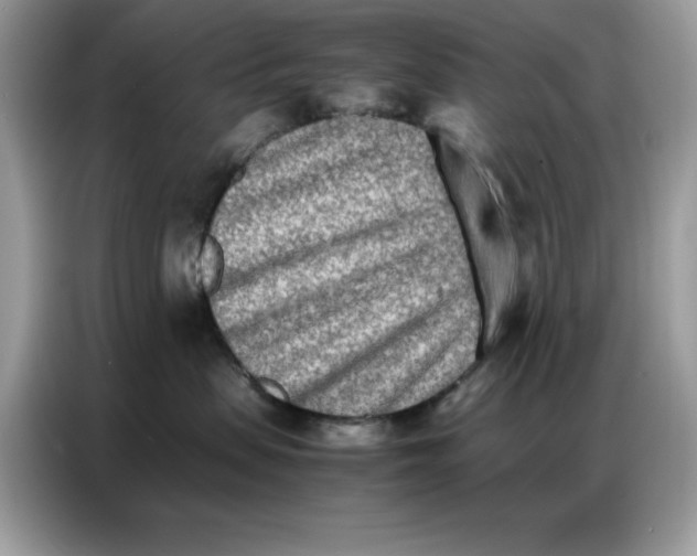 X0000086740479200704271654