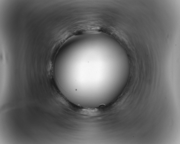 X0000086740480200704271654