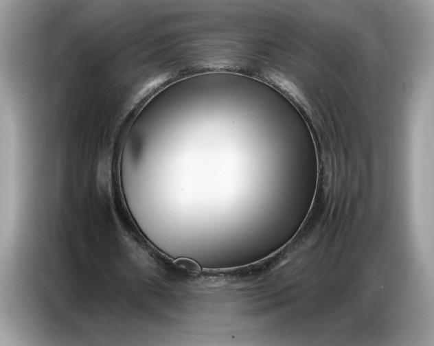 X0000086740482200704271653