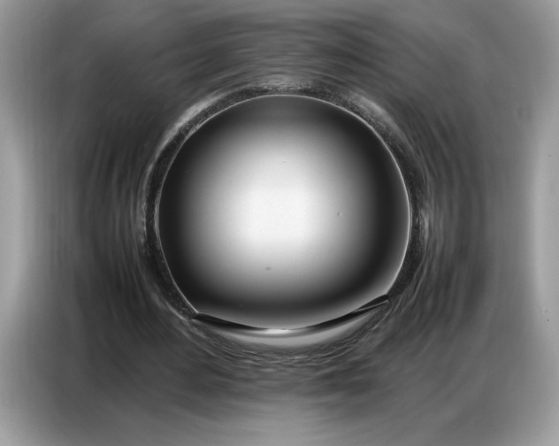 X0000086740484200704271653