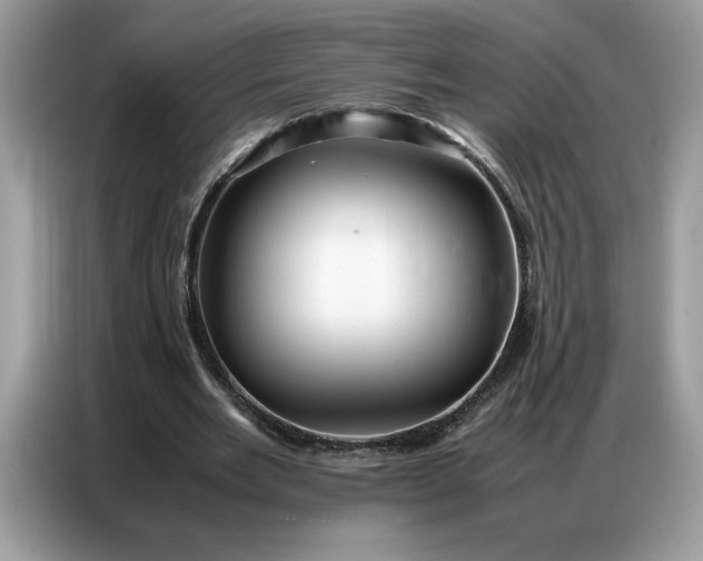 X0000086740485200704271653