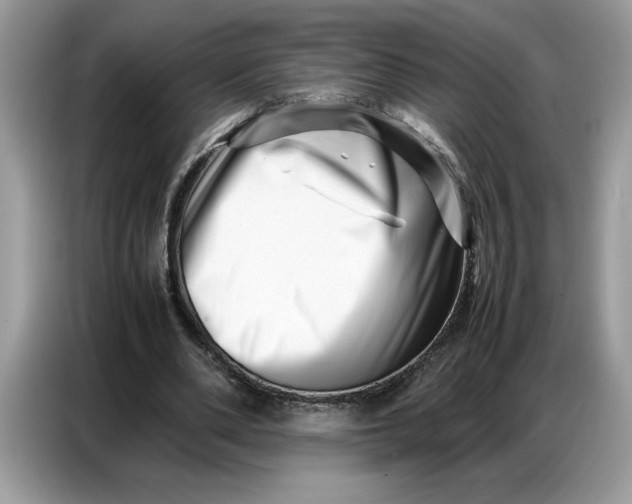 X0000086740486200704271653