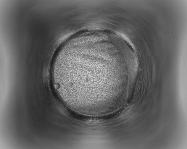 X0000086740487200704271653