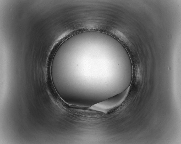 X0000086740488200704271653