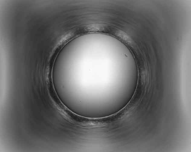 X0000086740490200704271653