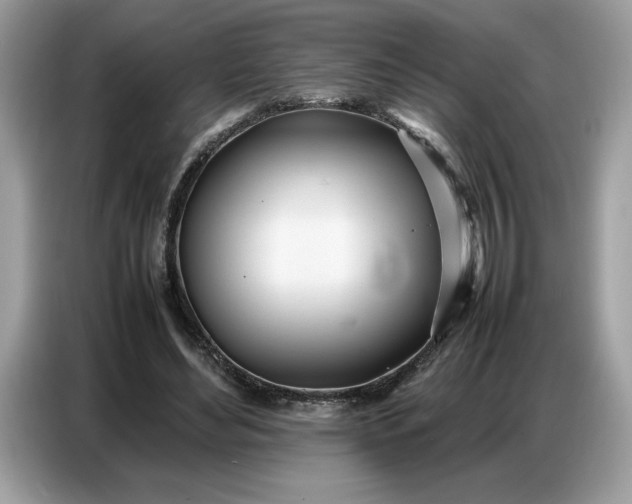 X0000086740492200704271653