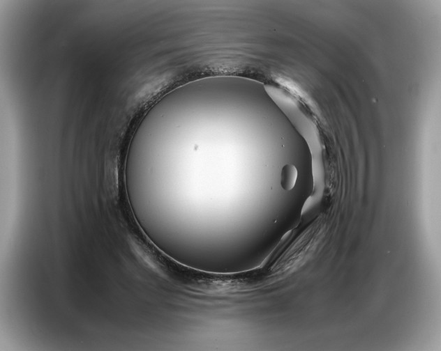 X0000086740493200704271653