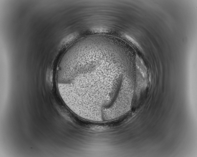 X0000086740494200704271653